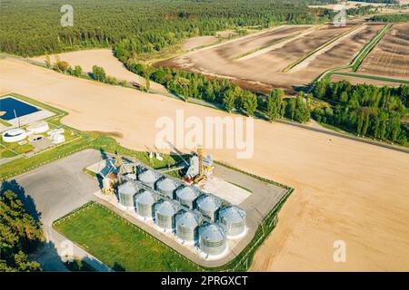 Vista aerea Granaio moderno, complesso di essiccazione dei cereali, cereali commerciali o silos di semi nel paesaggio rurale di Sunny Spring. Essiccatore per mais Silos, Inland Grain Terminal, elevatori per cereali in piedi in Un campo Foto Stock