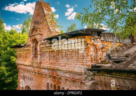 Dziemjanki, regione di Gomel, Bielorussia. Vista sopraelevata della residenza abbandonata e fatiscente Gerard Nicholas Chernobyl Resettlement zone. Disastri catastrofici di Chornobyl. Monumento e patrimonio locale Foto Stock
