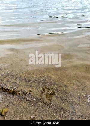 Superfici acquose con onde e increspature e luce solare che si riflette sulla superficie. Foto Stock