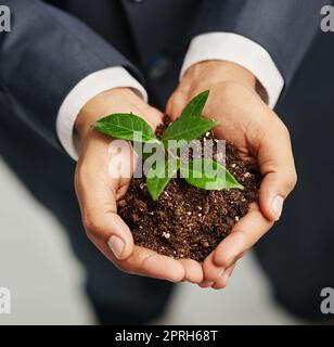 Favorire la crescita e il successo. Colpo di primo piano di un uomo d'affari in un vestito che tiene una pianta germogliante nel terreno nelle sue mani a cubetti. Foto Stock