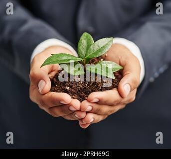 Favorire la crescita sostenibile delle imprese. Colpo di primo piano di un uomo d'affari in un vestito che tiene una pianta germogliante nel terreno nelle sue mani a cubetti. Foto Stock