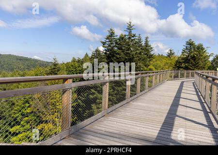 Torre di osservazione situata in cima alla stazione sciistica di Słotwiny Arena, che conduce alle cime degli alberi, Krynica Zdroj, Beskid Mountains, Slotwiny, Polonia Foto Stock