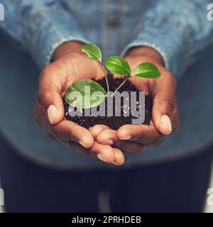 I sogni devono essere nutriti. Un uomo irriconoscibile che tiene una pianta germogliante. Foto Stock