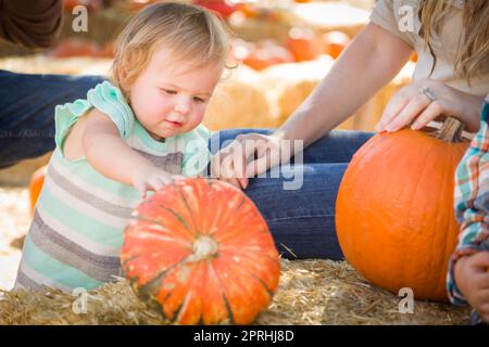 Adorabili giovane famiglia gode di una giornata presso la Zucca Patch. Foto Stock