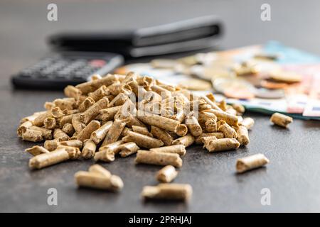 Pellet di legno, biocarburante con denaro in euro. Combustibile ecologico fatto da biomassa. La fonte di energia rinnovabile. Foto Stock