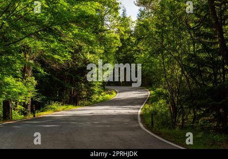 Paesaggio di primavera con il trasporto su strada Foto Stock