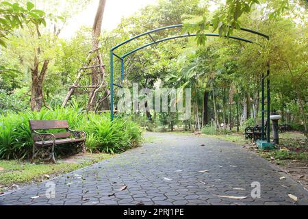 panca nel giardino pubblico parco Foto Stock