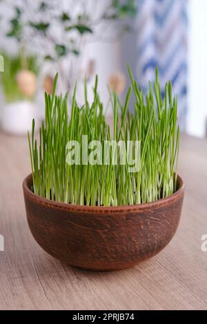 Arredamento di pasqua. Avena verde, conigli decorativi e uova su tavola vicino muro di mattoni bianchi Foto Stock