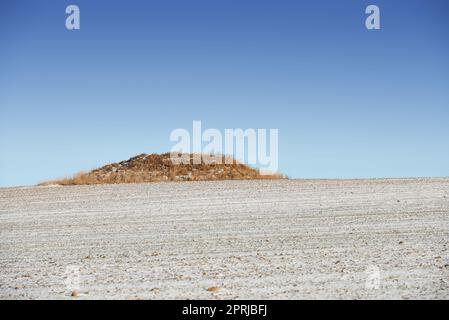 Desolazione secca. Un tumulo erboso nel mezzo di un paesaggio asciutto Foto Stock