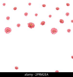 Acquerello disegnato a mano senza cuciture patten con fiori di zinnia Foto Stock