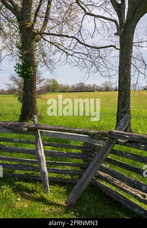 Una recinzione a steccati logora in primo piano e due tronchi di alberi incorniciano un ampio campo verde e un cielo pallido al Camp Nelson National Monument, Kentucky. Foto Stock
