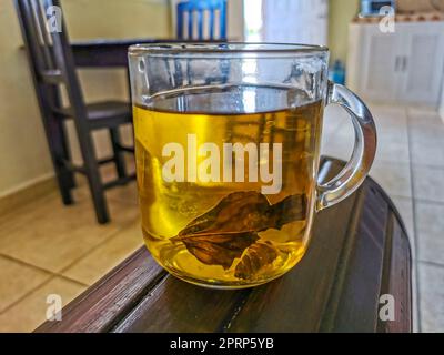 Recipiente di vetro o tazza con tè allo zenzero caldo. Foto Stock