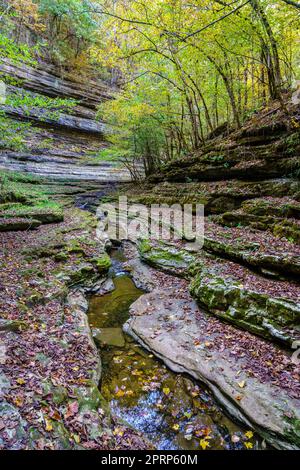 Raven Run Creek Foto Stock