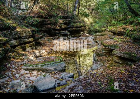 Raven Run Creek Foto Stock