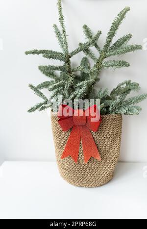 Splendido piccolo albero di Natale sul tavolo di legno. Buon umore. Garland lampada bokeh sullo sfondo. Carta da parati. Danese di pini e abeti, Nobilis Foto Stock