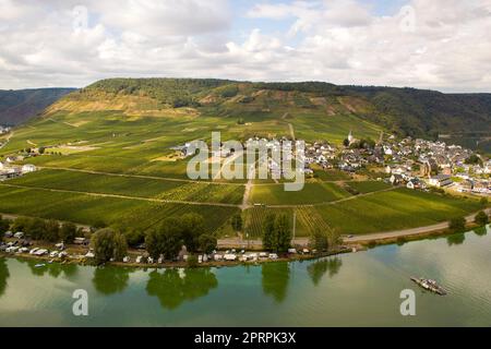 Vista aerea della valle della Mosella con i vigneti Foto Stock