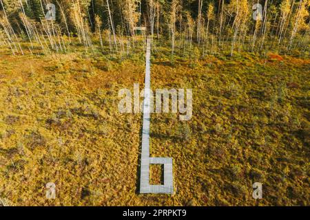 Bielorussia, Riserva della Biosfera Berezinsky. Vista dall'alto del percorso in legno dalla palude alla foresta in autunno Sunny Day. Panorama Foto Stock