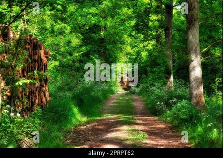 Esplora la campagna. Una strada di campagna che si standa attraverso un paesaggio pittoresco. Foto Stock