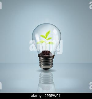 La soluzione sostenibile. Studio shot di una pianta che cresce all'interno di una lampadina. Foto Stock