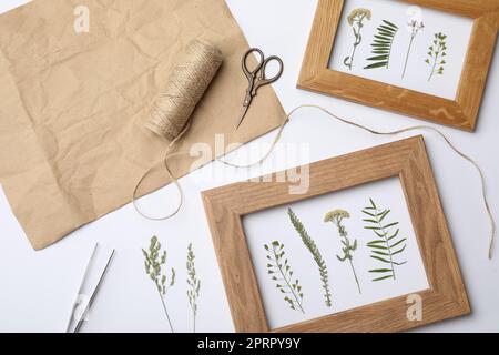 Composizione di posa piatta con cornici di fiori di prato secchi selvatici su sfondo bianco Foto Stock