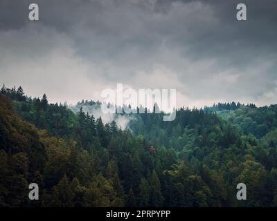 Tranquillo scenario autunnale nelle montagne dei Carpazi con foresta mista in cima alle colline in una giornata cupa. Paesaggio autunnale naturale nei boschi, tempo piovoso con nuvole nebbiose sopra gli alberi Foto Stock