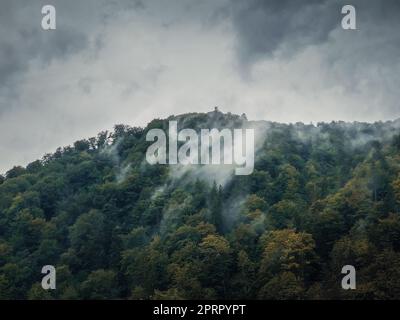 Tranquilla scena autunnale con nuvole nebbiose che si muovono attraverso la foresta mista sulla cima di una collina in una giornata cupa. Paesaggio autunnale naturale nei boschi, tempo piovoso con nebbia sopra gli alberi Foto Stock