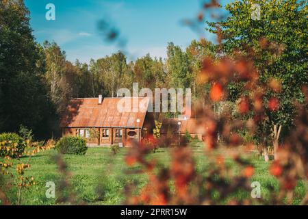 Berezinsky, riserva della biosfera, Bielorussia. Case di ospiti turistiche bielorusse tradizionali nel paesaggio di inizio autunno. Luogo popolare per il riposo e l'eco-turismo attivo in Bielorussia Foto Stock