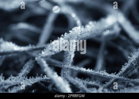 Cristalli di ghiaccio in bianco e nero, su una lama d'erba in inverno. Primo piano Foto Stock