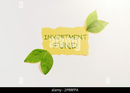 Scrittura che mostra il testo Fondo di investimento Una fornitura di capitale appartenente a numerosi investitori. Internet Concept Una fornitura di capitale appartenente a numerosi investitori Foto Stock