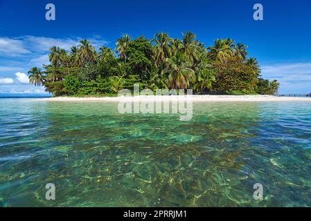 Isola tropicale Cayo Zapatilla, Panama Foto Stock