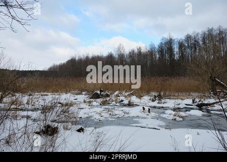 Paesaggio invernale del fiume ghiacciato Lesna Foto Stock