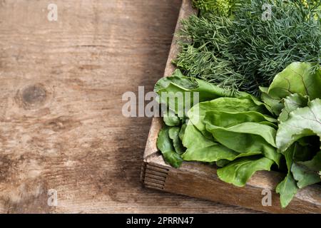 Erbe fresche verdi in gabbia su tavola di legno. Spazio per il testo Foto Stock