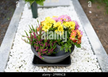 una piccola ciotola con diversi fiori di cimitero su una tomba con ciottoli bianchi Foto Stock