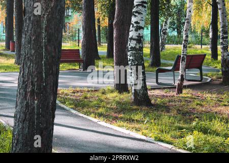 Parco cittadino con sentieri e panchine. Luogo di riposo e passeggiate. Architettura urbana Foto Stock