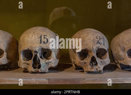 Una foto di una fila di teschi umani in mostra nel museo di Pompei. Foto Stock