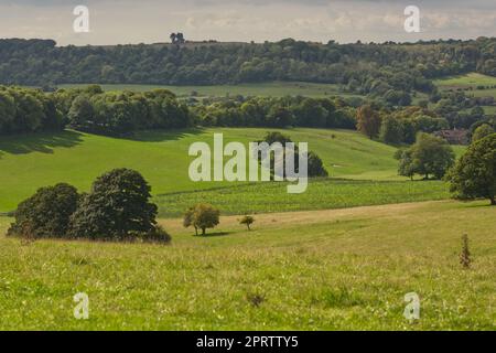 La campagna di South Downs a Findon vicino a Worthing nel Sussex occidentale, Inghilterra Foto Stock