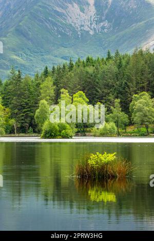 Lochan paesaggio estivo vicino Glencoe nelle Highlands della Scozia, Regno Unito Foto Stock