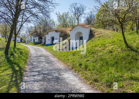 Gruppo di cantine tipiche all'aperto a Plze vicino Petrov, Moravia meridionale, Repubblica Ceca Foto Stock