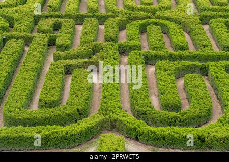 Il labirinto Borges Labyrinth o Borges Memorial Maze sulla Finca Los Alamos, San Rafael, Argentina. Foto Stock