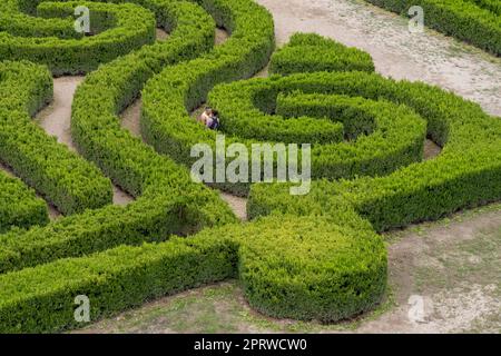 Una coppia baciandosi nel Labirinto Borges o nel labirinto commemorativo sulla Finca Los Alamos, San Rafael, Argentina. Foto Stock