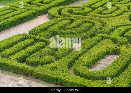 Il labirinto Borges Labyrinth o Borges Memorial Maze sulla Finca Los Alamos, San Rafael, Argentina. Foto Stock