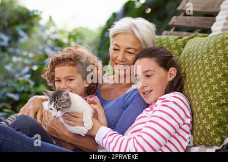 La felina di famiglia. Una donna e i suoi nipoti accarezzano un gatto mentre si rilassano nel cortile. Foto Stock