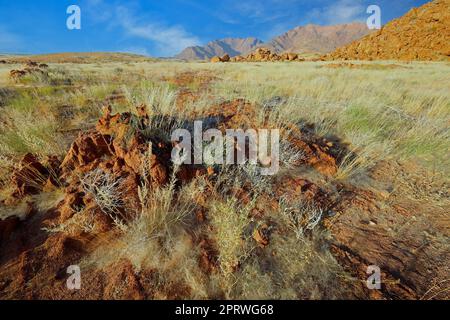 Paesaggio panoramico del monte Brandberg con pianure erbose e rocce, Namibia Foto Stock