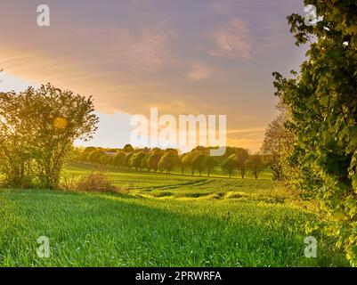 Foto dalla Danimarca. Una foto della campagna danese in estate. Foto Stock