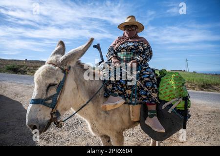 Donna con un cappello di paglia e stampelle in sella a un mulo. Foto Stock
