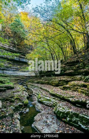 Raven Run Creek e gola nel Raven Run Nature Sanctuary di Lexington, Kentucky Foto Stock