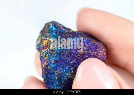 Donna che tiene lucido cristallo arcobaleno Peacock ore o bornite (Calcopyrite) su sfondo chiaro primo piano. Foto Stock