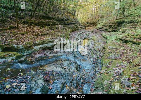 Raven Run Creek e gola nel Raven Run Nature Sanctuary di Lexington, Kentucky Foto Stock