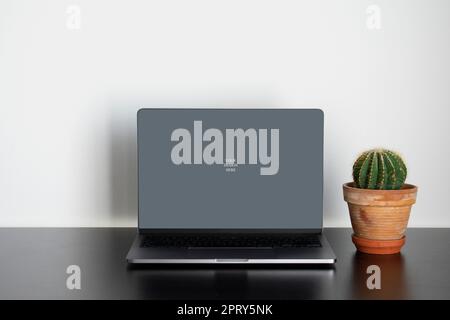 Laptop mockup su tavolo nero con pianta Foto Stock