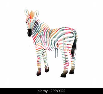 Elegante Zebra con strisce colorate e colori acquerelli Foto Stock